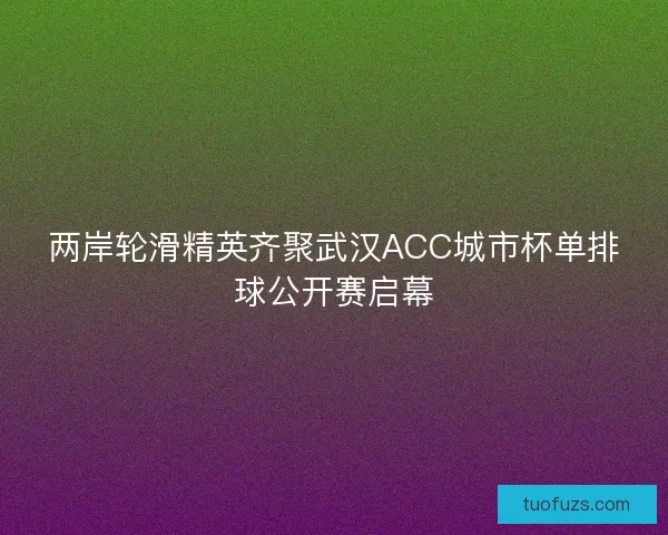 两岸轮滑精英齐聚武汉ACC城市杯单排球公开赛启幕